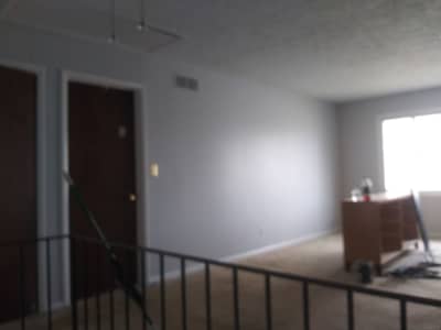 Job photograph supplied by Lakeshore Painting Services